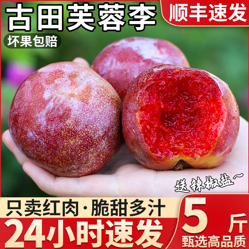 顺丰正宗红心芙蓉李送辣椒盐