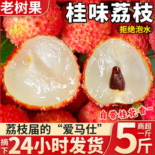高端品种正宗桂味荔枝新鲜水果
