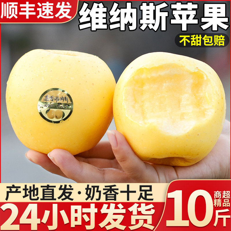 顺丰正宗维纳斯黄金苹果水果10斤新鲜甜冰糖心黄胖子平果整箱包邮,水产肉类/新鲜蔬果/熟食,苹果,淘宝优惠券,粉丝福利购,淘宝优惠卷