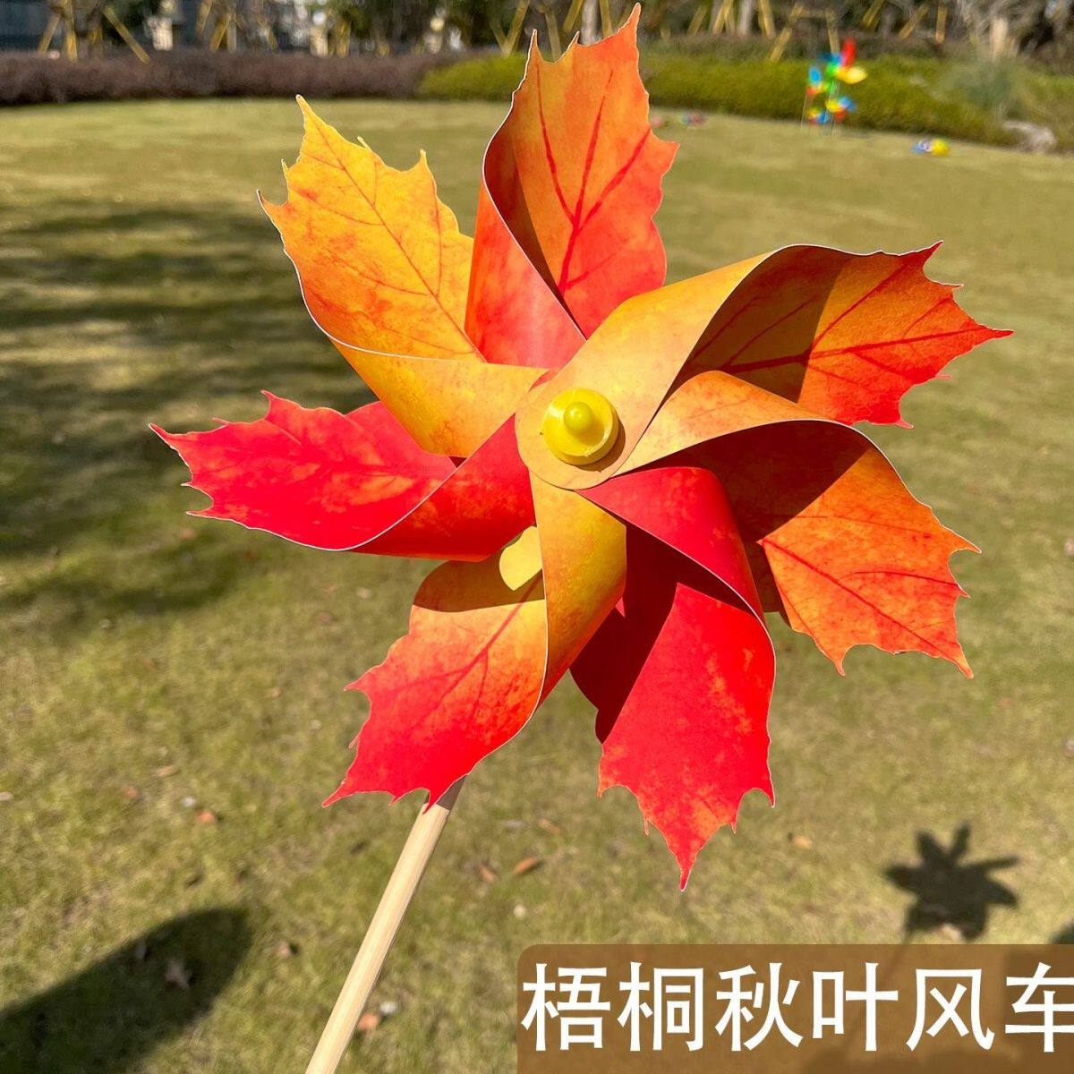 毕业照拍摄道具七叶樱花