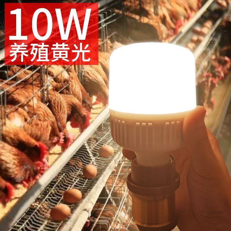 灯泡暖黄色养殖场暖光专