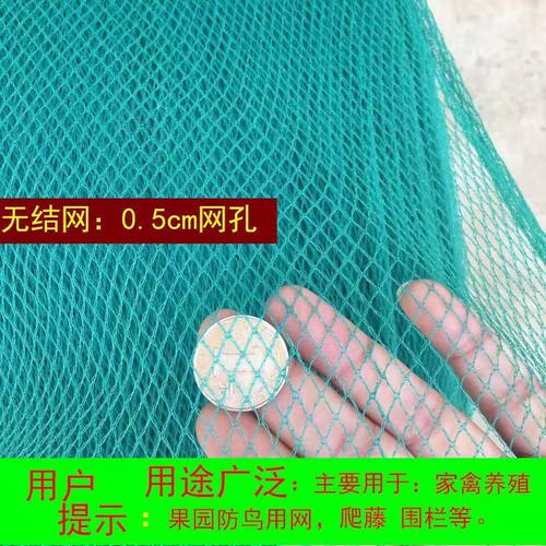 防小鸟的网果树养鸡家用