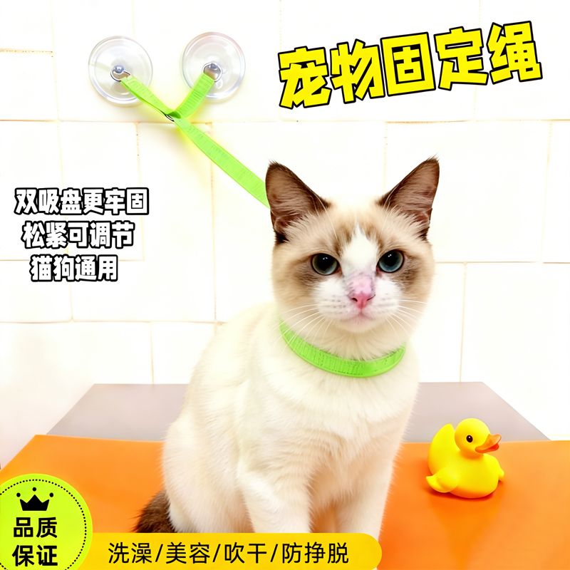 猫咪洗澡固定器宠物夏天洗澡神器固定器猫狗清洁美容专用吸盘绑带
