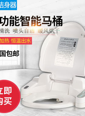 国产多功能盖板洁身器