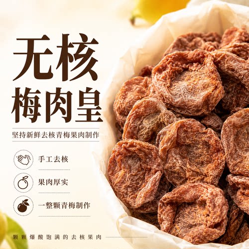 无核话梅肉酸甜咸袋装200g零食