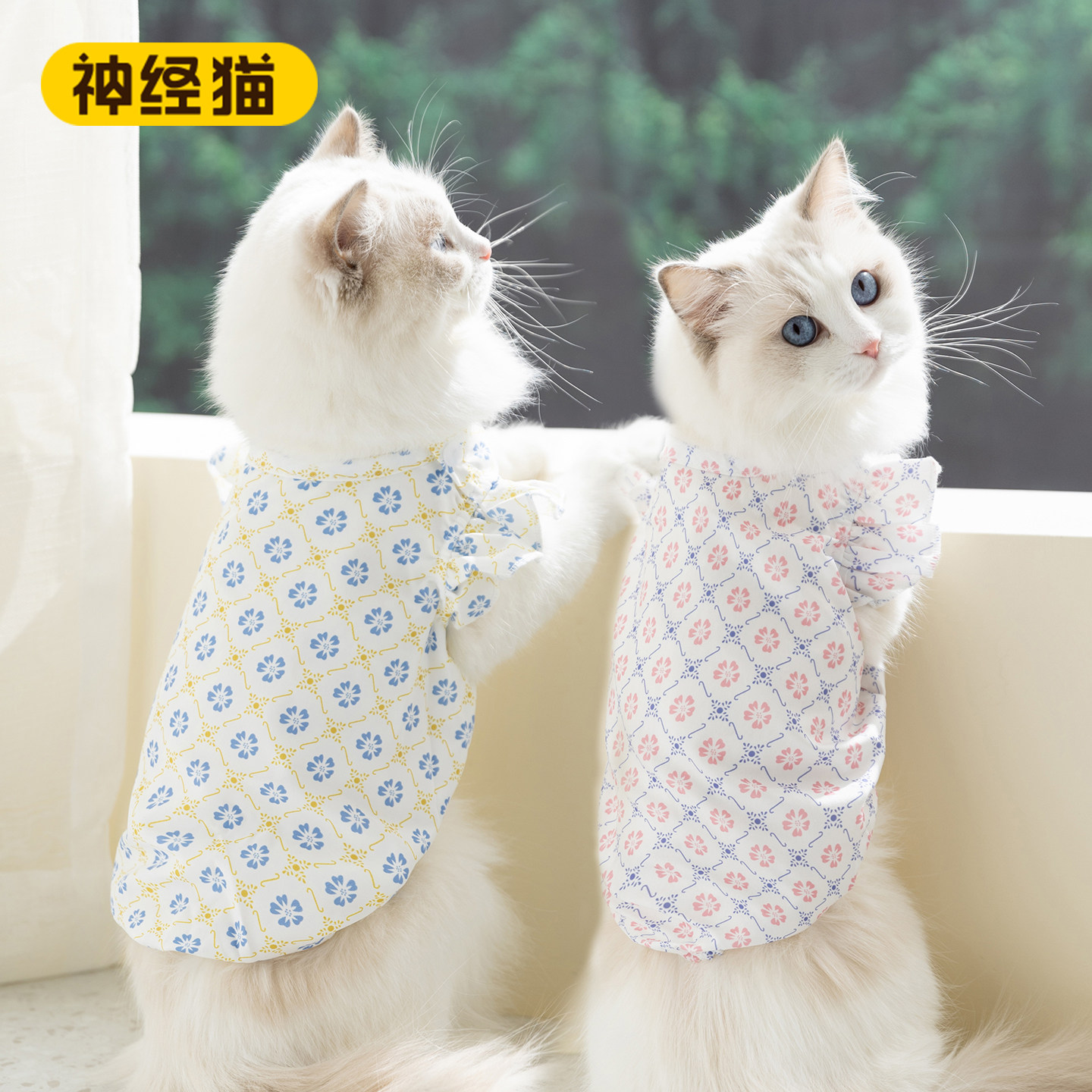 神经猫2026新款宠物猫咪衣服防掉图片