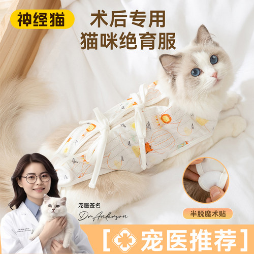 卡通可爱风猫咪绝育服