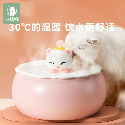 Постоянная температура кошачья температура питьевая вода.