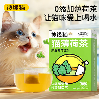 神经猫宠物猫猫米薄荷茶