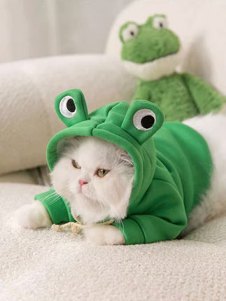 宠物猫咪搞怪变身青蛙衣服防掉毛布偶猫衣服拍照道具英短美短秋冬
