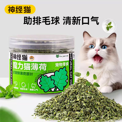 宠物猫咪猫薄荷零食化毛