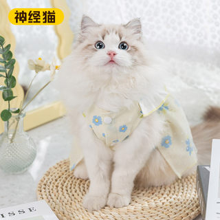 宠物猫咪衣服小可爱清新花朵连衣裙防掉毛春夏新款防掉毛布偶春天