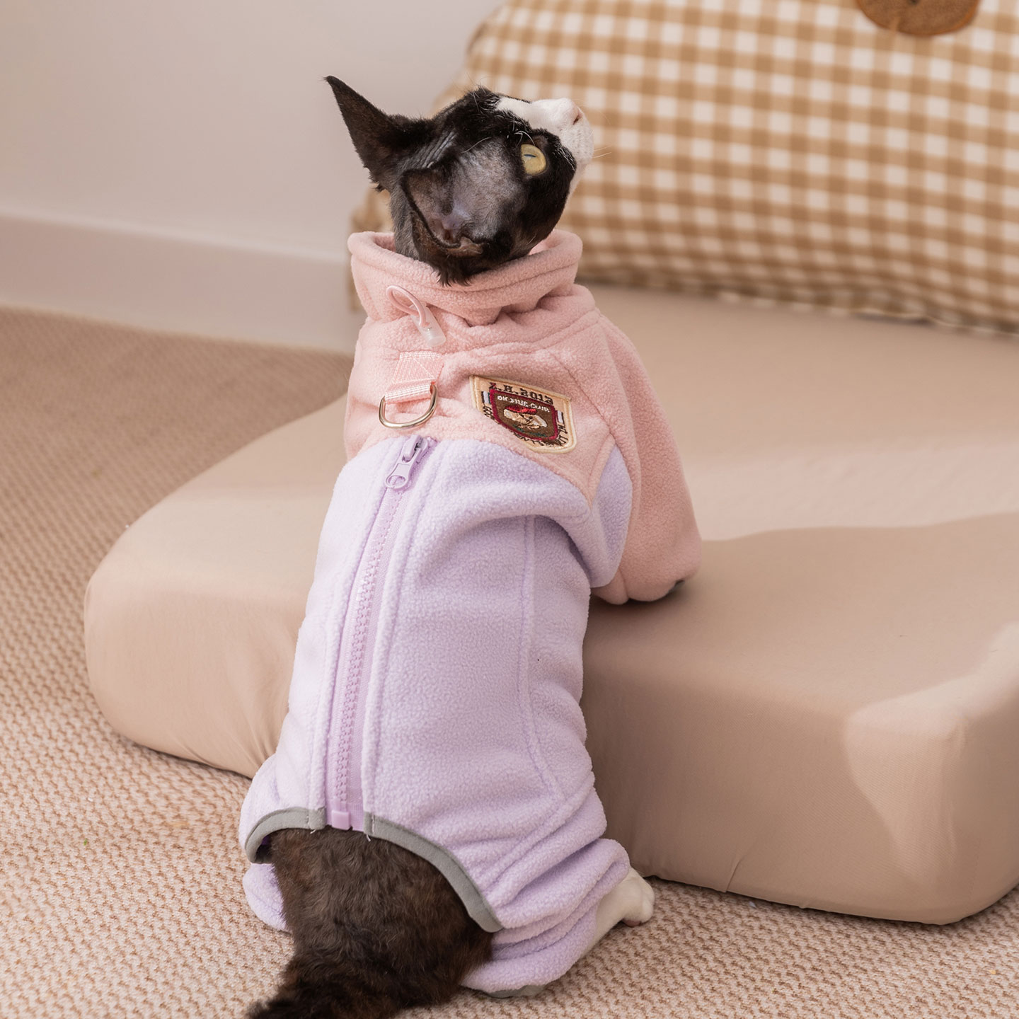 新品上市|猫咪背心马甲