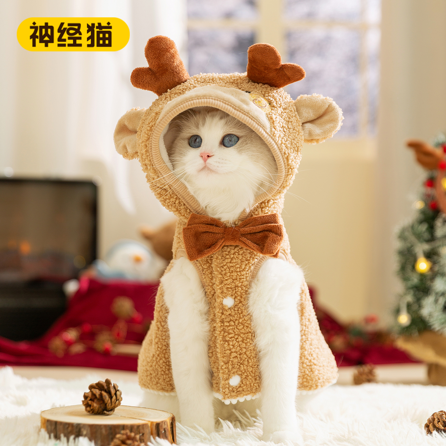 猫咪衣服冬季保暖圣诞卡通披风可牵引斗篷金渐层圣诞节宠物猫衣服