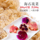 海悠悠石花菜果冻海凉粉草石花膏四果汤草燕海藻岩衣胶冻水产干货