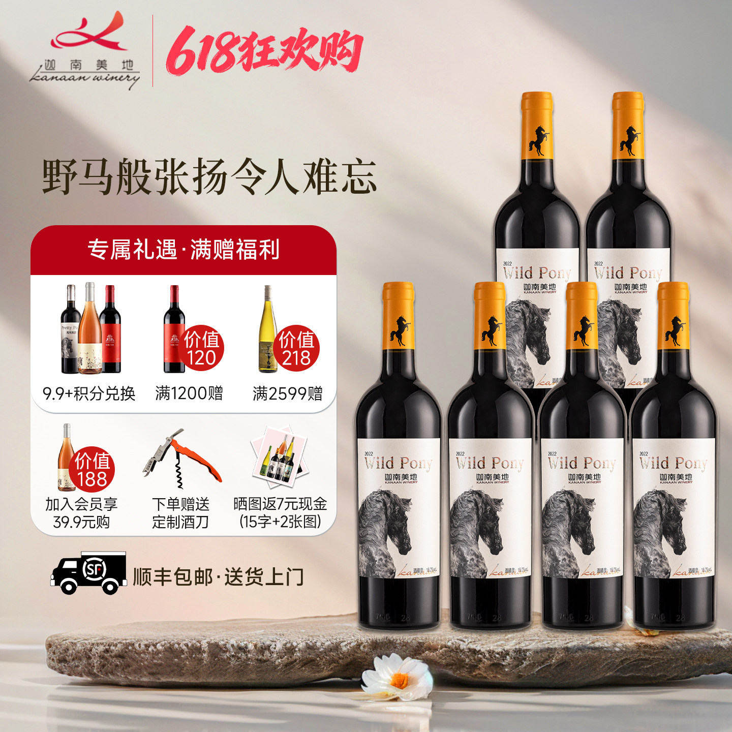【葡萄酒热销榜】迦南美地小野马赤霞珠 干红整箱6瓶礼盒宁夏红酒
