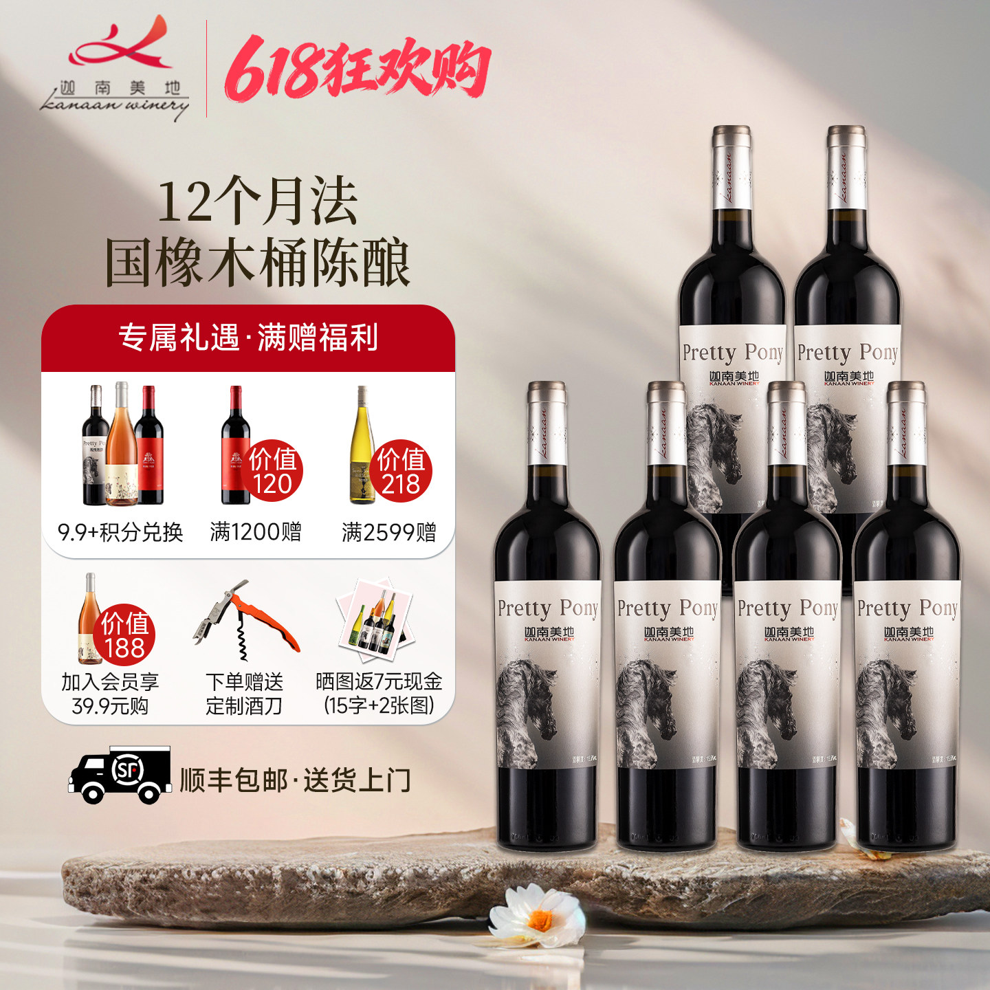 【店长推荐】迦南美地小马驹赤霞珠美乐 宁夏干红葡萄酒 整箱送礼