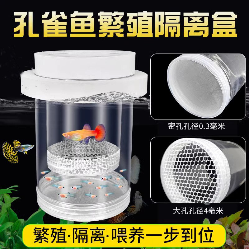 鱼缸分养盒孔雀鱼繁殖隔
