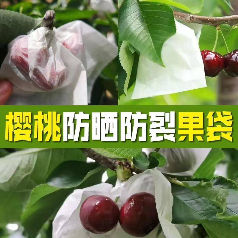 套葡萄专用袋草莓樱桃防