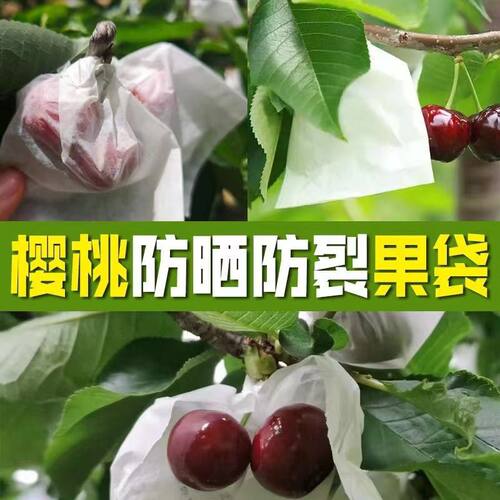 套葡萄专用袋草莓樱桃防