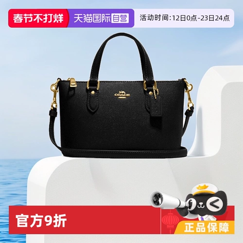 [Self -занято] тренер/MS. Галерея галерея тренера маленькая сумочка сумки для плеча мессенджера сумки женская сумка CH198