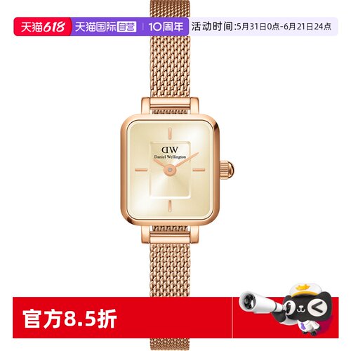 DW手表女款轻奢小众高级感正品