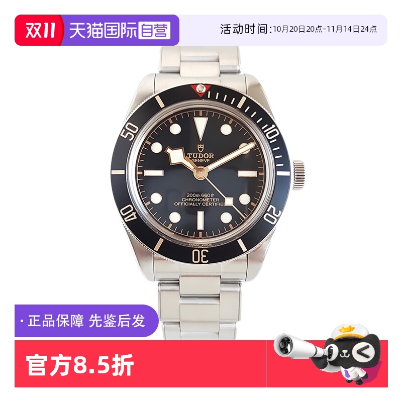 帝舵碧湾系列自动机械手表男款