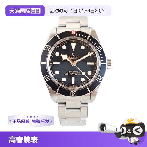 帝舵碧湾系列自动机械手表男款