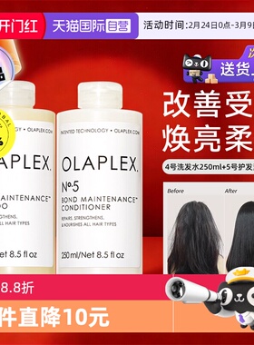 【自营】欧拉裴45号洗护套装洗发护发毛躁蓬松250ml*2烫染受损