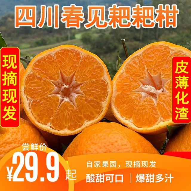 【鲜薇】四川春见耙耙柑新鲜应季水果当季橘子桔子孕妇水果酸甜,水产肉类/新鲜蔬果/熟食,桔子,淘宝优惠券,粉丝福利购,淘宝优惠卷