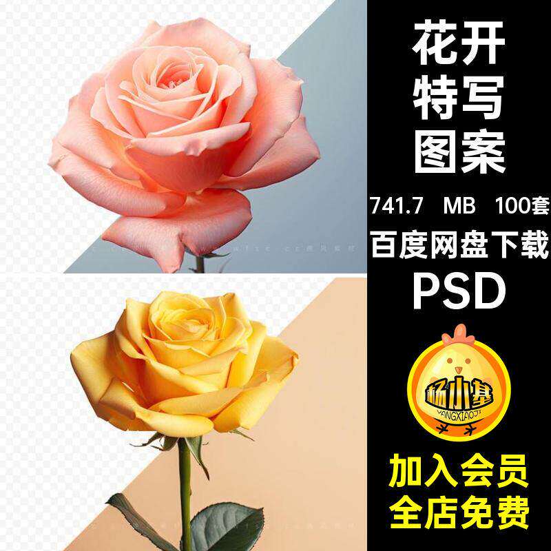 花开特写图案玫瑰花店图片优雅100套免海报背景psd扣花卉鲜
