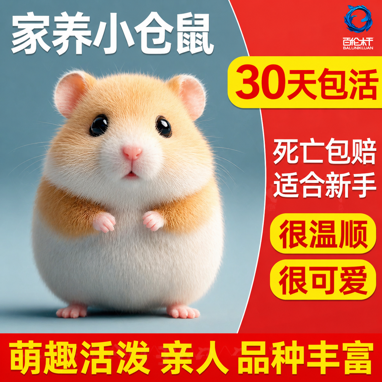 宠物小仓鼠活物家养金丝熊活体三线银狐布丁公婆奶茶可选公母