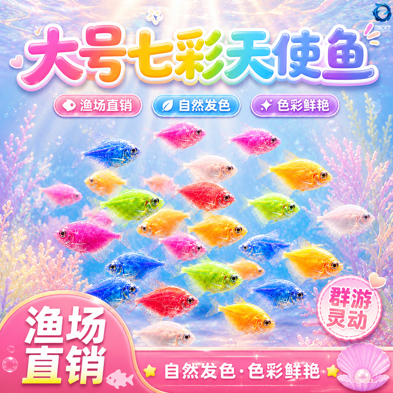 天使鱼观赏鱼活体大号群游活鱼热带鱼斑马小型鱼淡水孔雀好养耐活