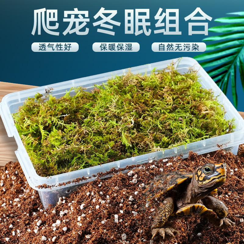 乌龟冬眠用品过冬装备椰土苔藓沙土保温冬眠神器恒温箱乌龟冬眠箱