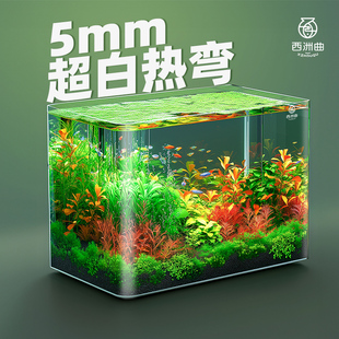 热弯透明玻璃鱼缸客厅小型免换水桌面造景金鱼斗鱼生态小鱼缸裸缸