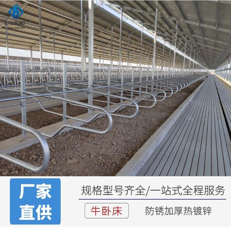 畜牧养牛设备热镀锌牛卧床 奶牛休息定位栏 双列牛卧栏