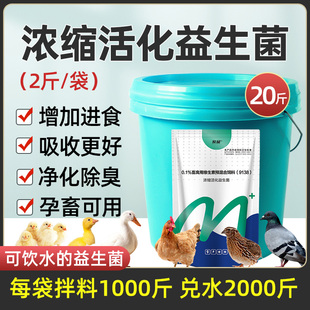 兽用浓缩活化益生菌猪牛羊鸡鸭鹅调理肠道开胃消食催肥降氨添加剂