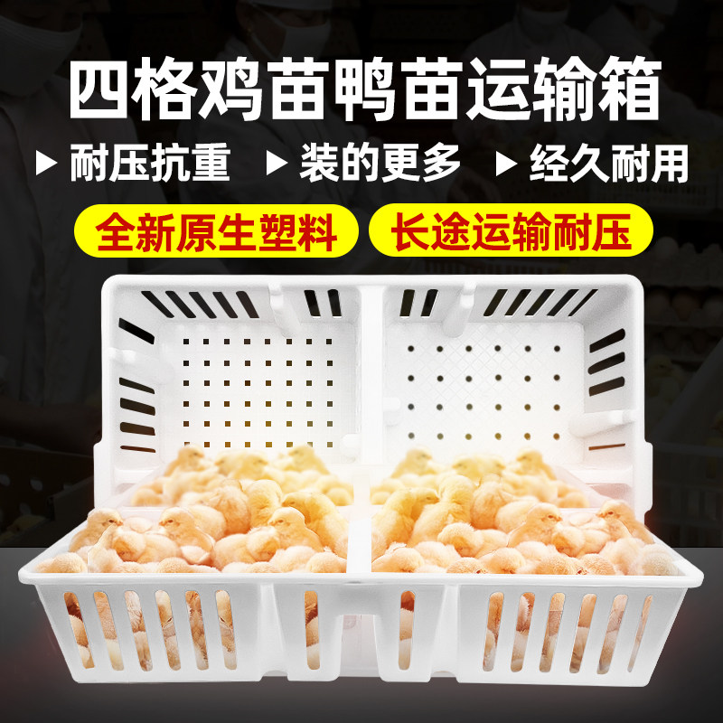 鸡苗运输箱 雏鸡小鸡运输框运输笼 加厚塑料鸡笼禽用养鸡设备器械