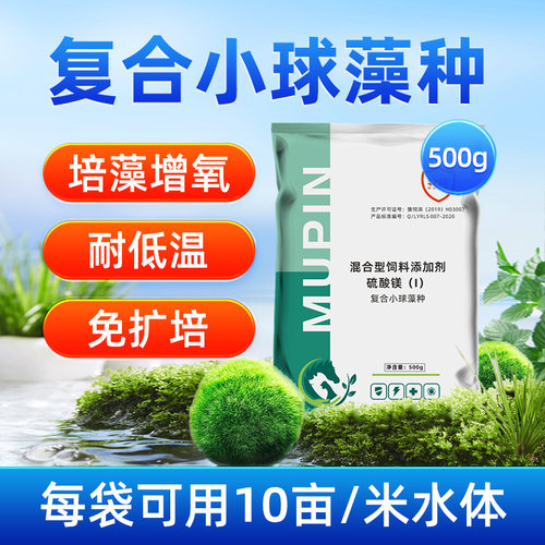 浓缩小球藻种肥水增氧水产养殖