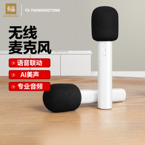 麦克风有价格 麦克风有图片 星期三