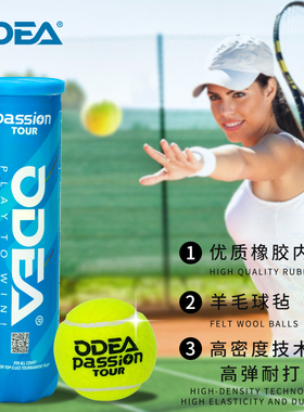 Odear欧帝尔Passion网球比赛训练球高弹耐打耐磨气压足4粒罐装