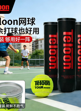 Teloon天龙网球Pound P4冲击波耐打高弹比赛练习球4个罐装训练球