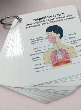 跨境外贸秋季新款 Notebo 人体解剖卡片套装1套护理学习指南