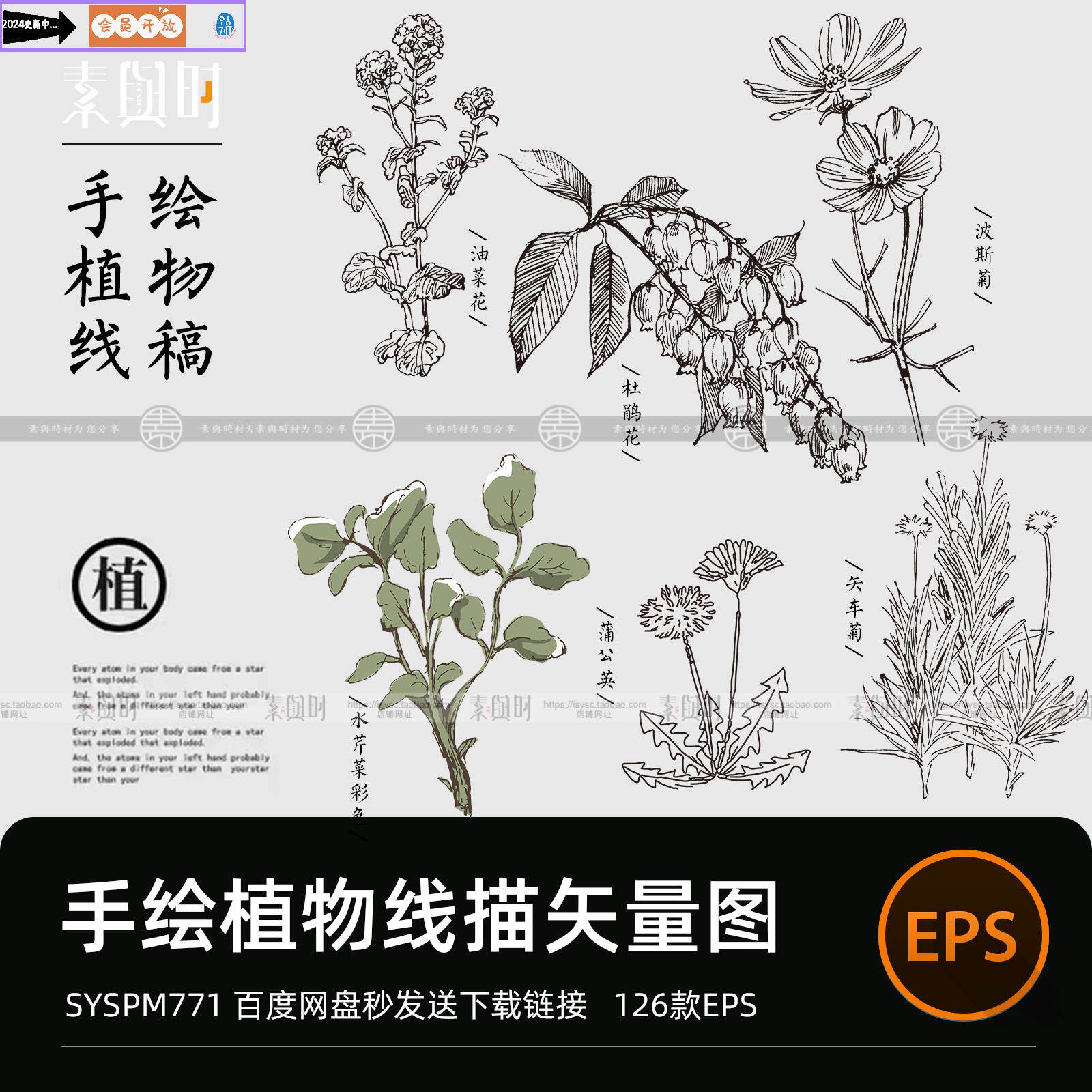 手绘植物线稿素描临摹草本植物花卉元素矢量图免扣设计素材线描