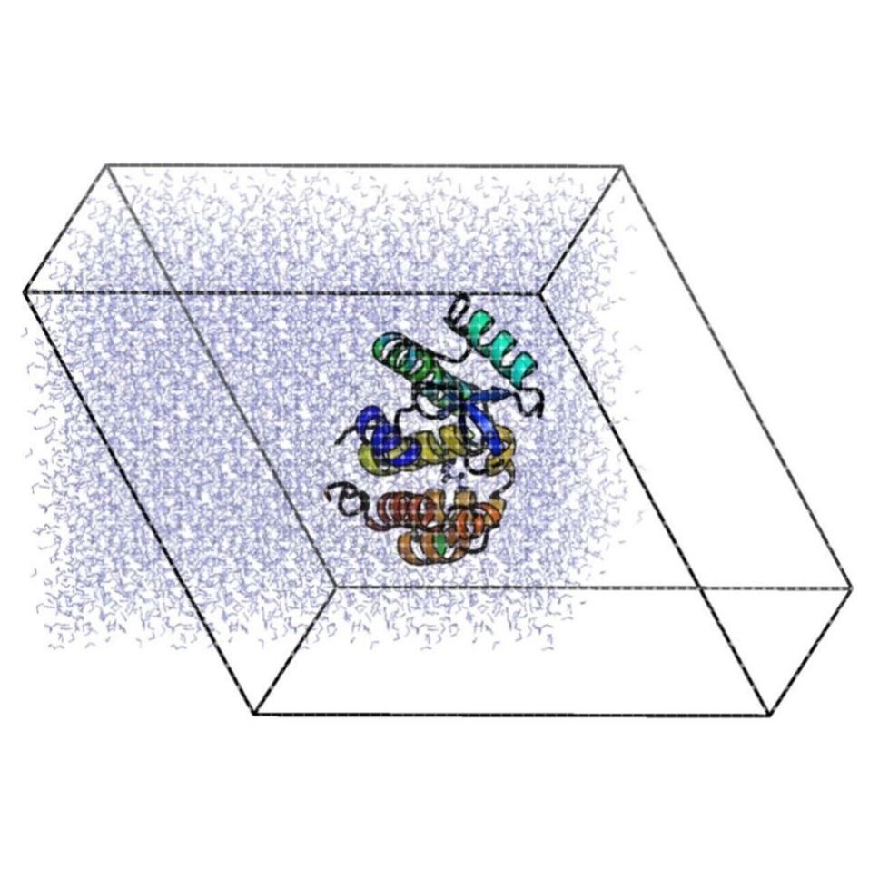 蛋白蛋白分子对接DS分析MD分子动力学分析PDB构建