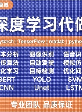 python代编程深度学习算法机器学习强化学习神经网络NLP目标检测