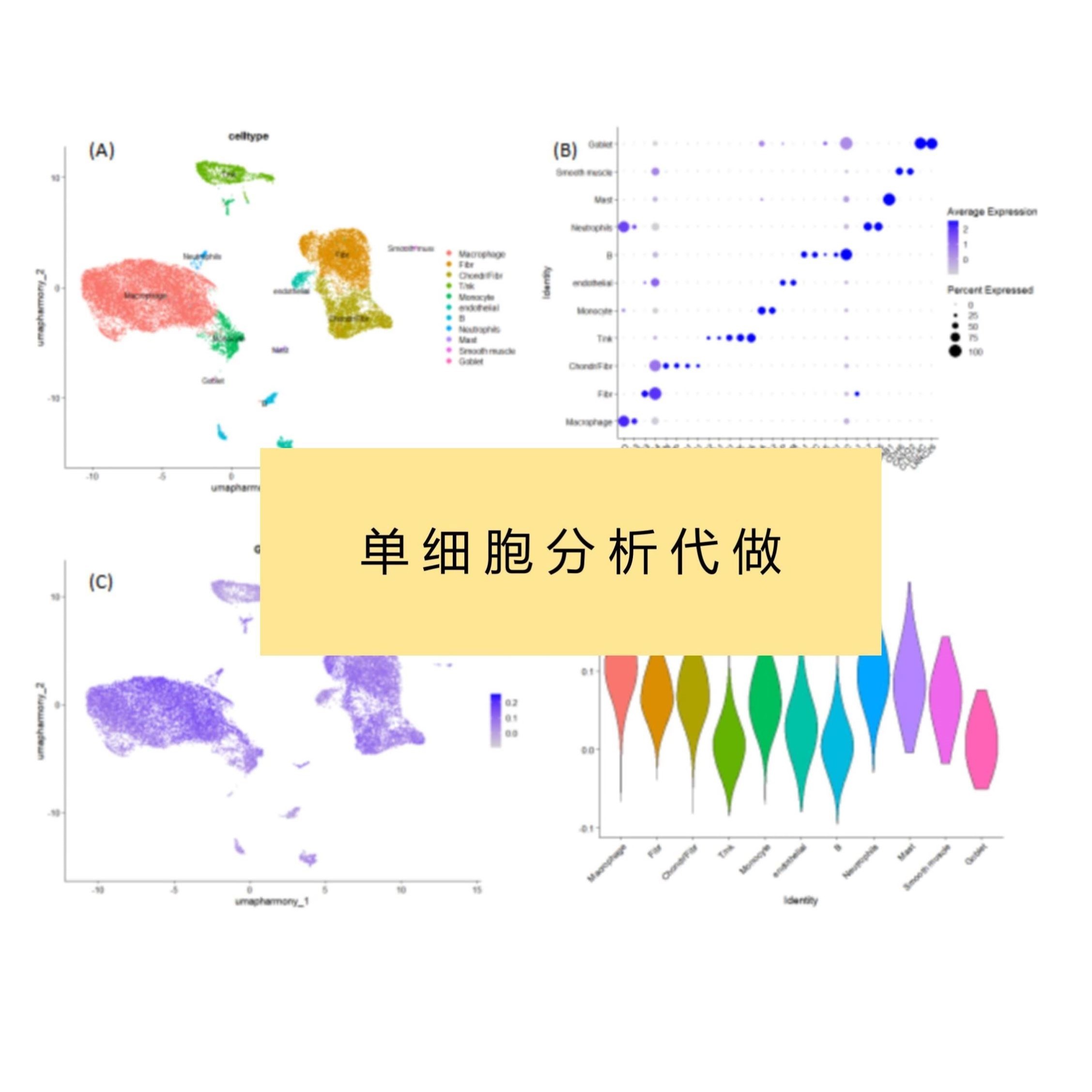 单细胞分析测序转录组挖掘TCGA/GEO数据库