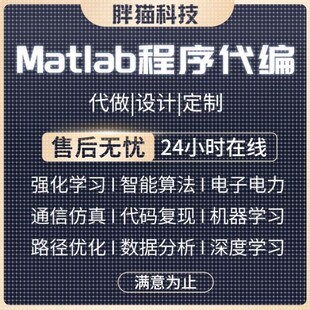 Matlab代码帮做程序代编图像处理通信仿真路径规划复现算法优化