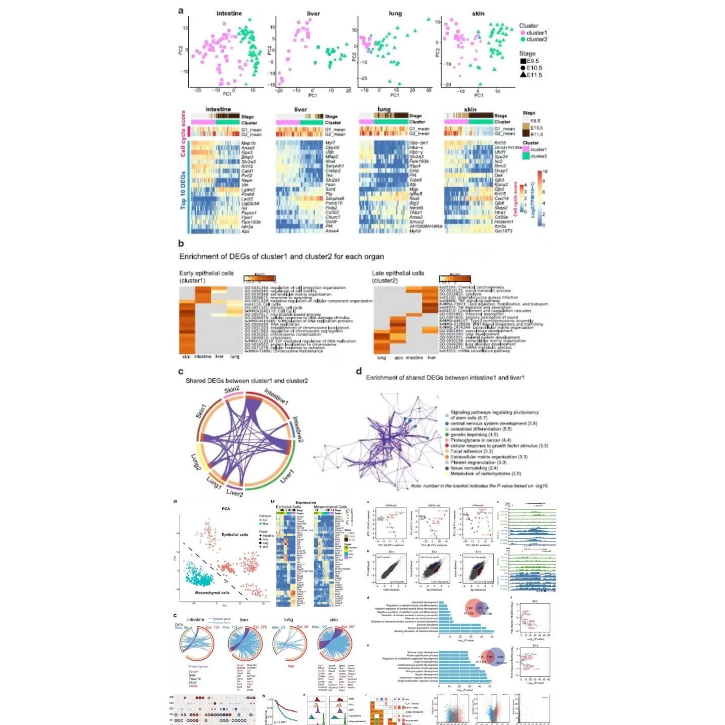 lncRNA调控网络构建与分析生信分析一条龙服务