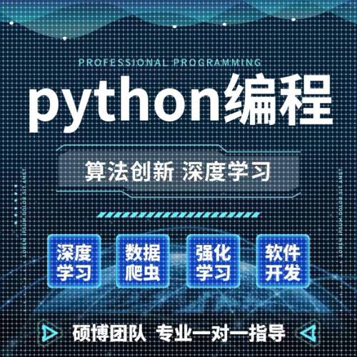 Python编程深度学习数据爬虫软件开发定制专业一对一指导